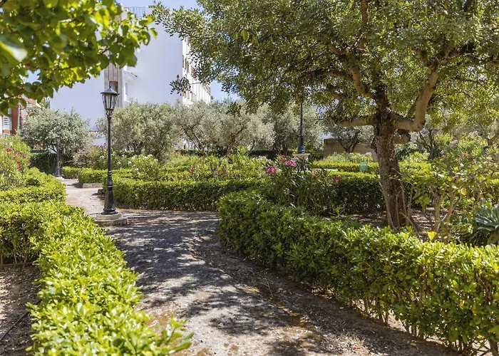 Olive Apartman