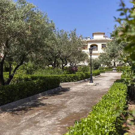 Olive Apartman *